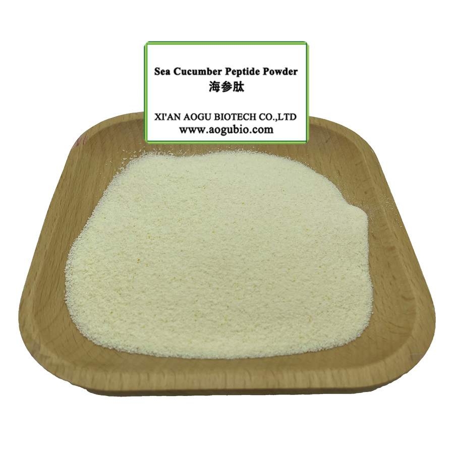 Food Grade Maltogenic Amylase 3000 U/g Enzyme Powder for Bread Softening and Anti-staling Bakery Ingredients Bulk Supply