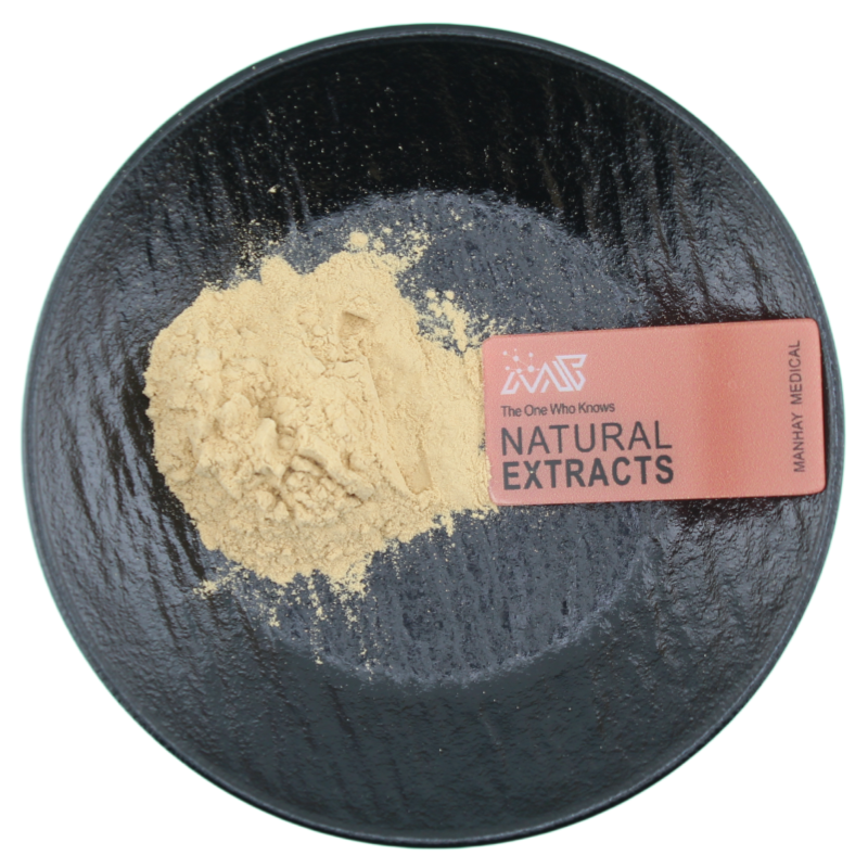 Manhay Supply Pediococcus Pentosaceus Food Ingredients Probiotics Powder