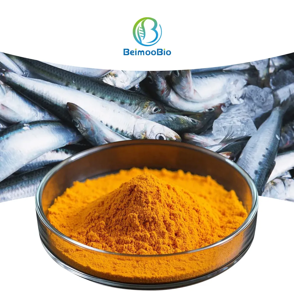 Coenzyme Q10 (Ubidecarenone)