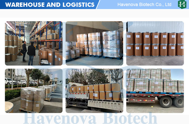 Shipping Logistics 3