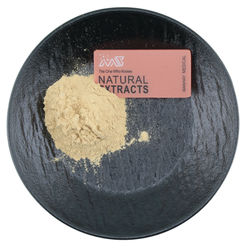 Manhay Supply Pediococcus Pentosaceus Food Ingredients Probiotics Powder