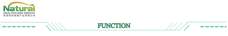 Lactobacillus Helveticus Food Ingredients From China Freeze-dried Probiotics Powder