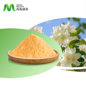 Food Grade Jasmin Green Tea Powder Natural Health Care Ingredients Type Herbal Extract Packaged in Drum