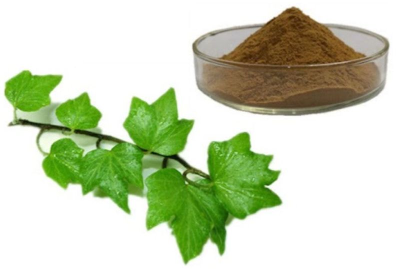 Ivy Leaf Extract Detail 4