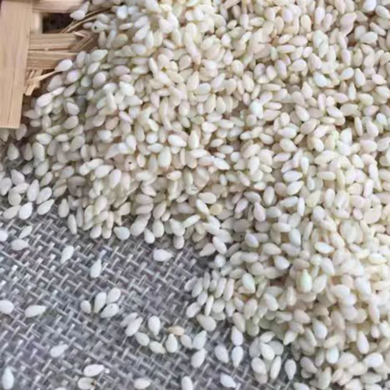 Roasted White Sesame/ 2021/Healthy Ingredient