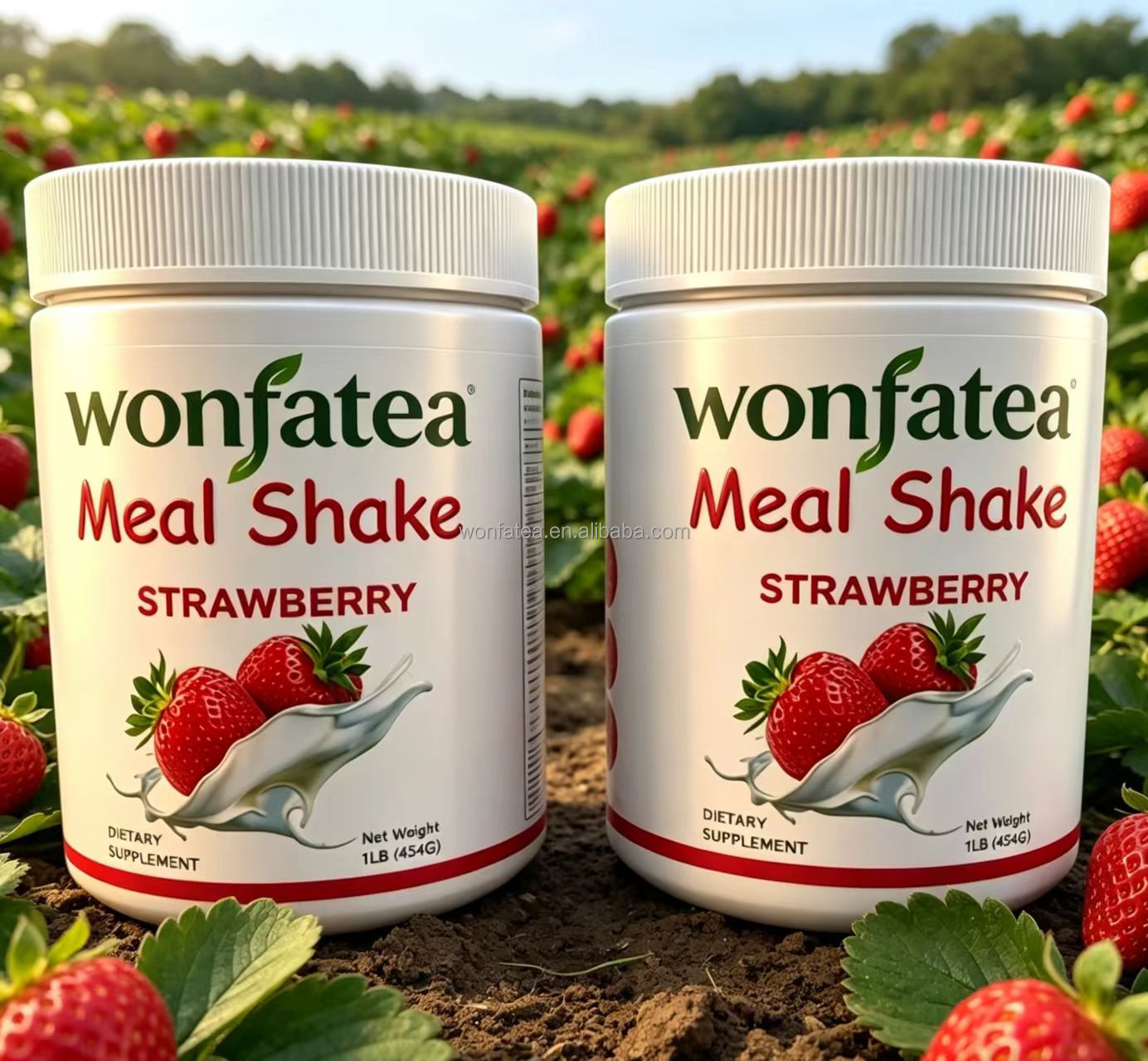 Protein Strawberry Flavor Meal Replacement Powder Including Probiotics and Prebiotics Inside