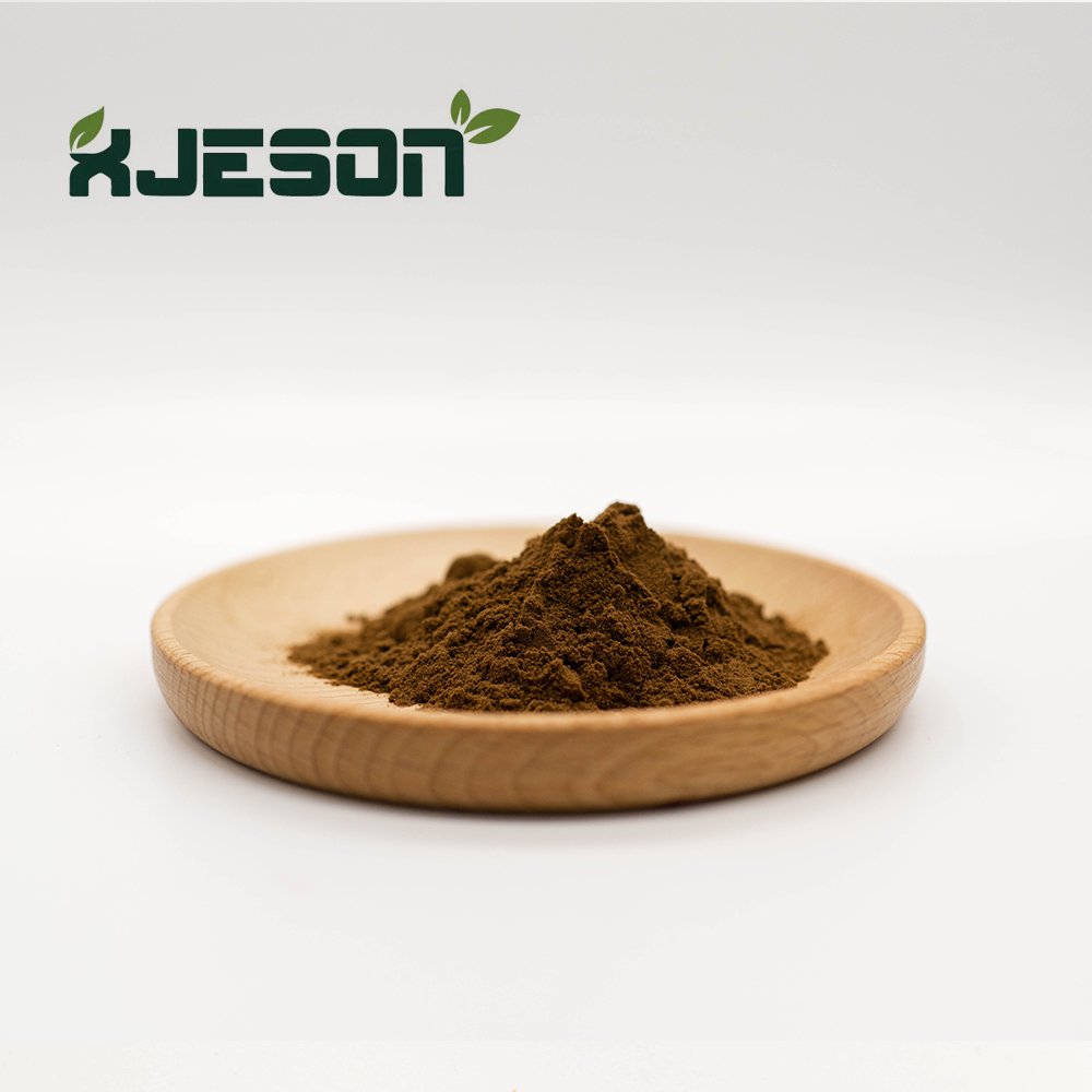 Natural Ingredients Cinnamon Bark Extract Powder