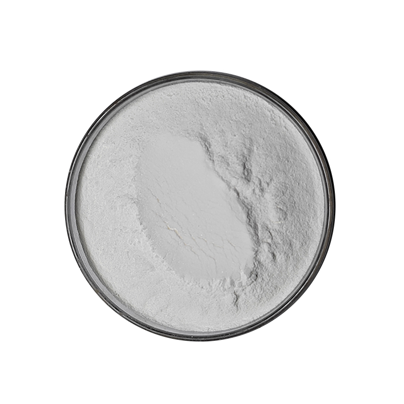 Food Grade 98% Betulinic Acid Powder White Herbal Extract in Bottle Drum or Plastic Container Supplying Quality Ingredients