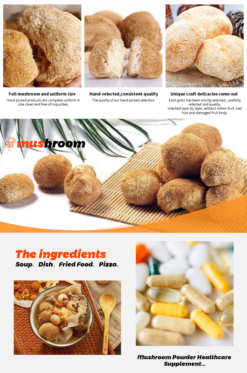 Lion's mane mushroom display 3