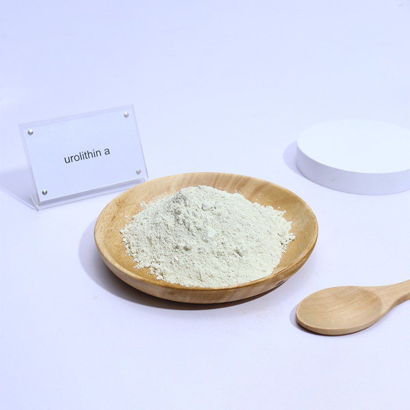 Premium Natural Urolithin a 98% Microbial Fermentation Nutraceutical Ingredient