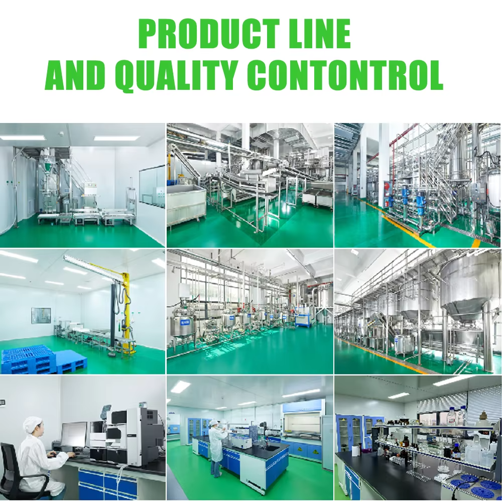 OEM Custom Formula Pea Protein Peptide Supplement For Weight Management Muscle Support Vegan Protein Peptide