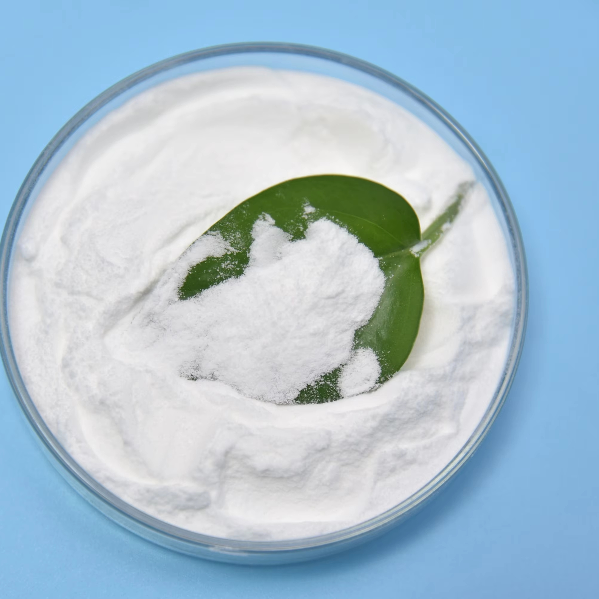 Lactobacillus Fermentum Food Ingredients From China Freeze-dried Probiotics Powder Original Manufacturer
