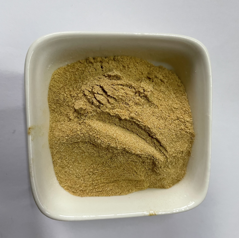Bacillus Coagulans Food Grade Probiotic Powder Ingredients CAS 68038-65-3 China Origin