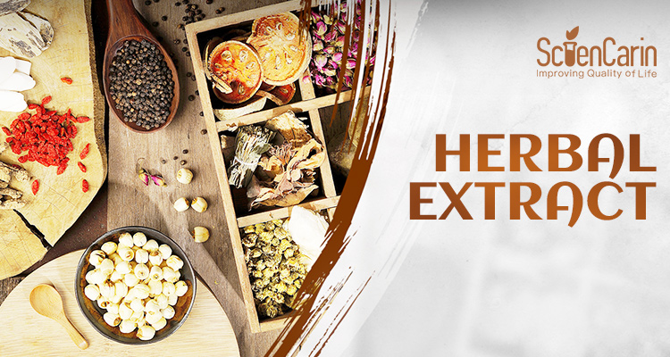 Garlic Extract Powder Allicin