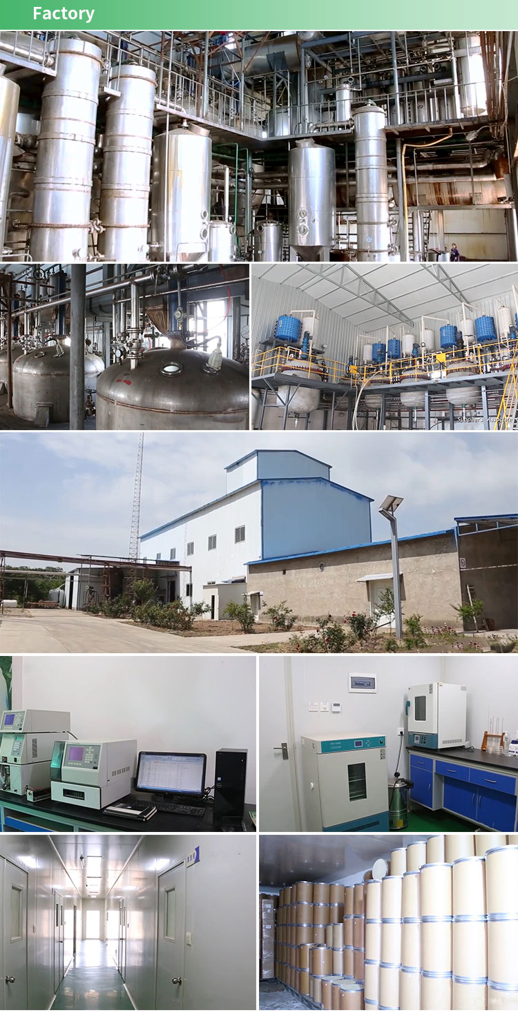 R&D Lab