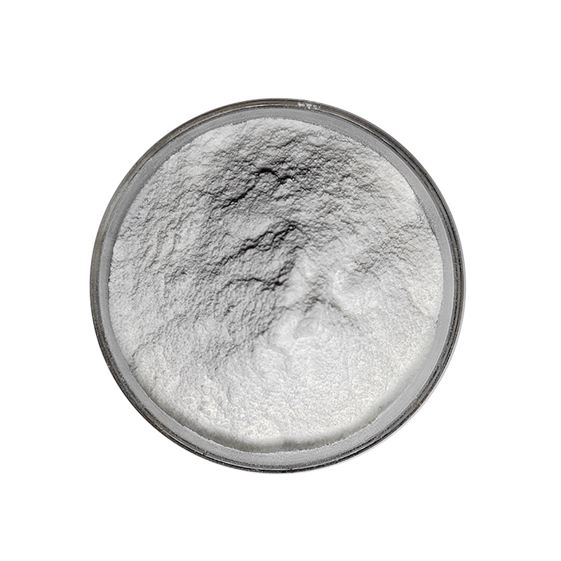 Food Grade 98% Betulinic Acid Powder White Herbal Extract in Bottle Drum or Plastic Container Supplying Quality Ingredients