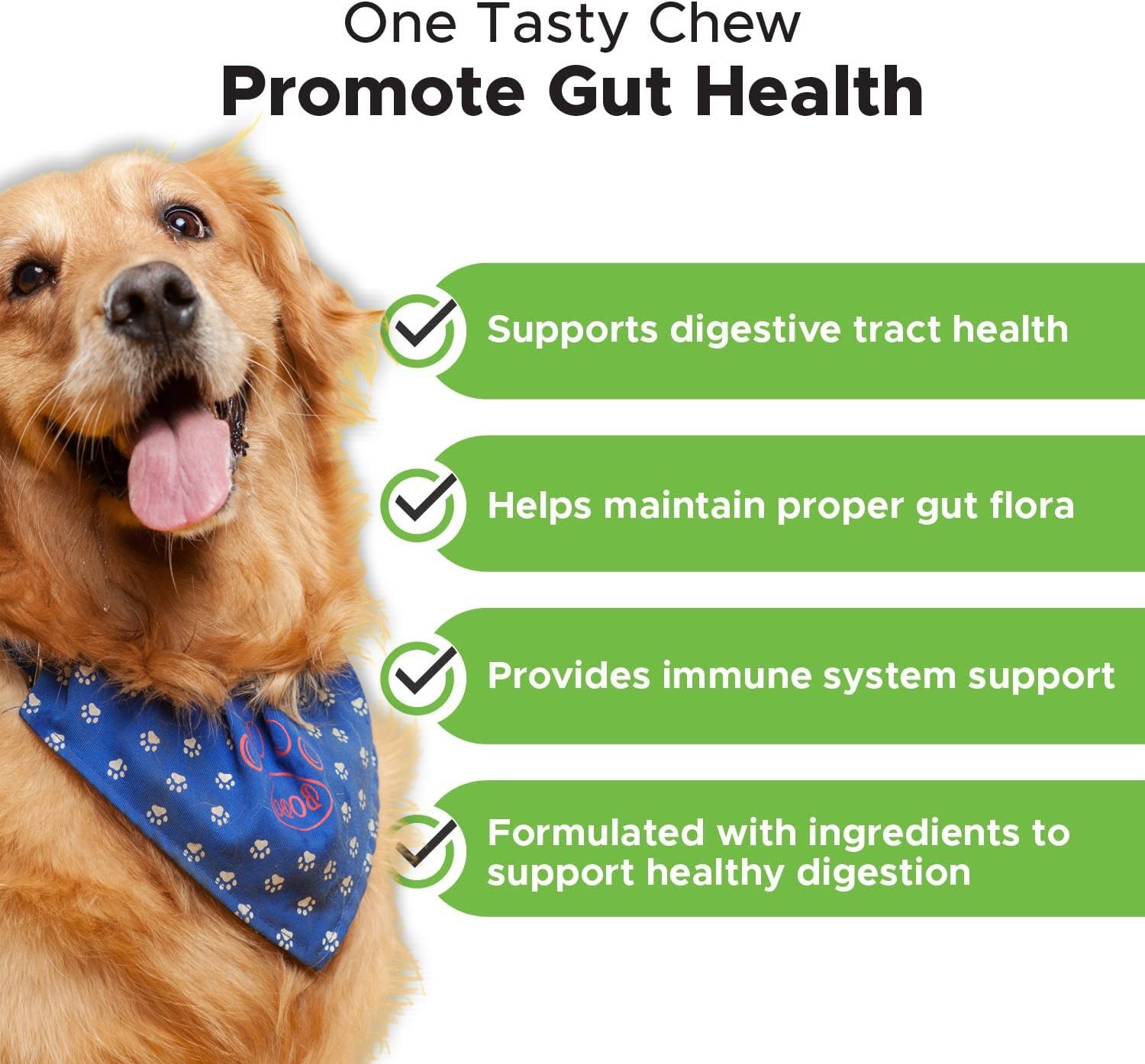 Factory Direct High Quality Customizable 300g 120 Count Pet Probiotic Supplement Supports Digestion Soft Chews