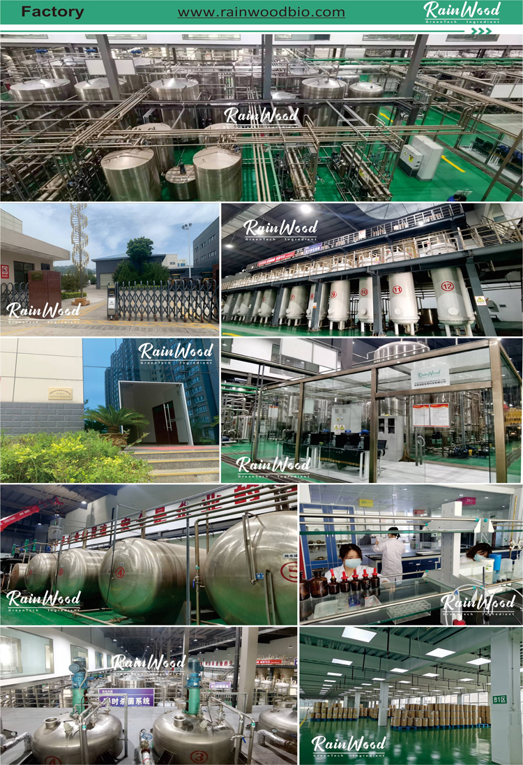 Company Environment