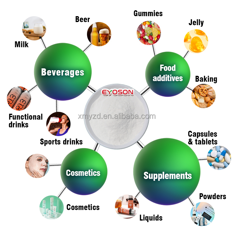 Wholesale Halal Sport Supplement Ingredients Gym Muscle Support Vegan Pea Protein Peptides Powder