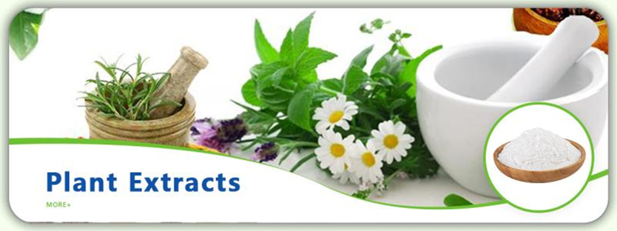 Organic Aguaje Extract Powder