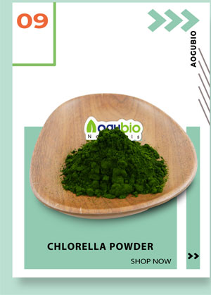 Super Food 9
