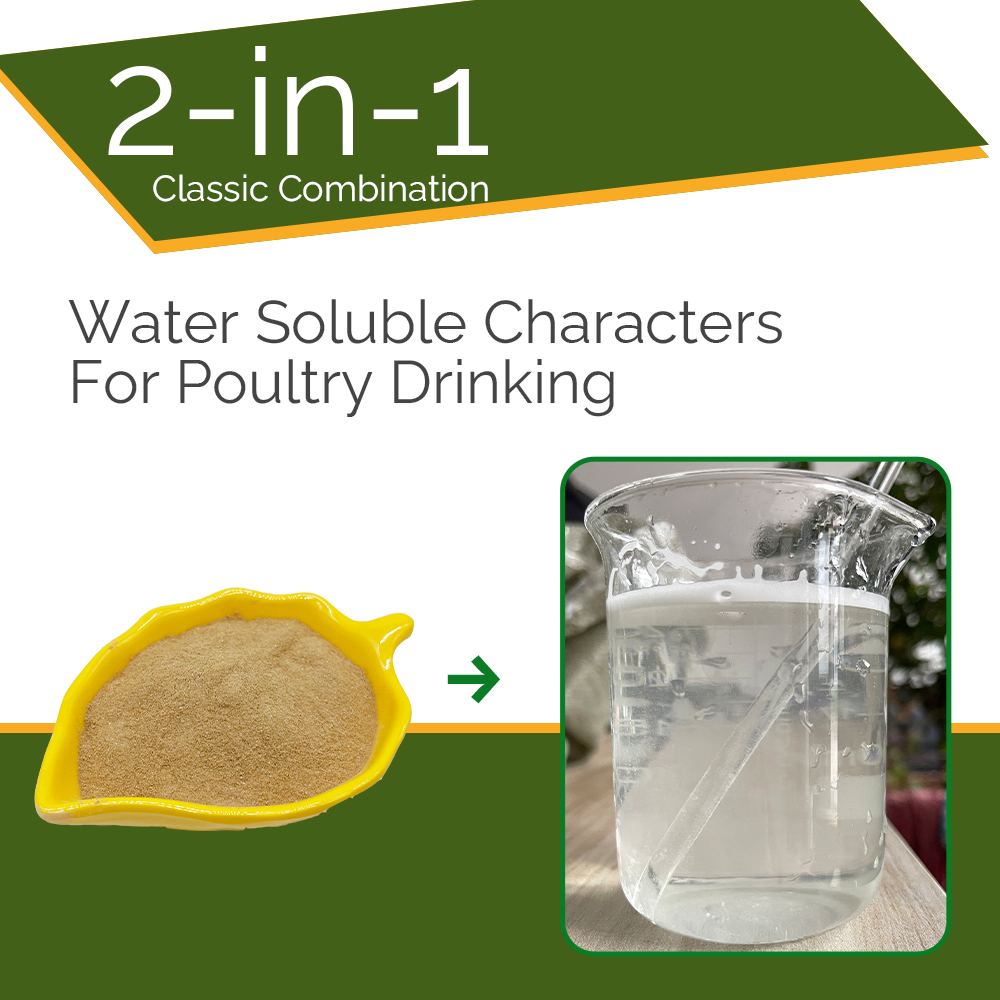 Water Soluble Powder Bacillus Probiotic For Poultry Gut Health Flora Regulation
