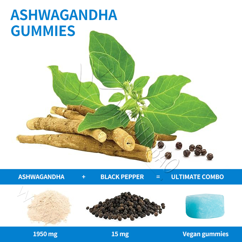 OEM/ODM Ashwagandha Gummies Boost Mood &amp; Energy Natural Ingredients