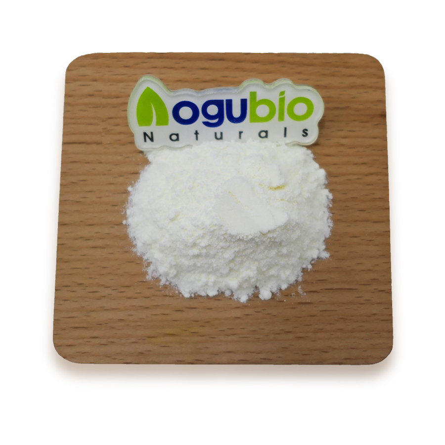 Probiotics Powder Pack