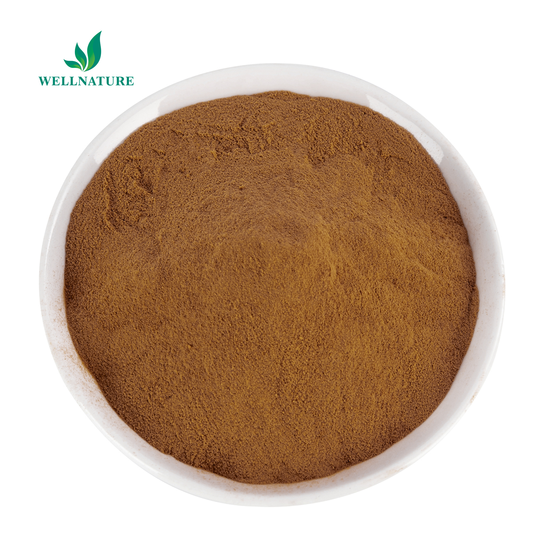 Bulk Notoginseng Extract Powder Top Grade Natural Pseudo-ginseng Herbal Ingredients OEM Supply