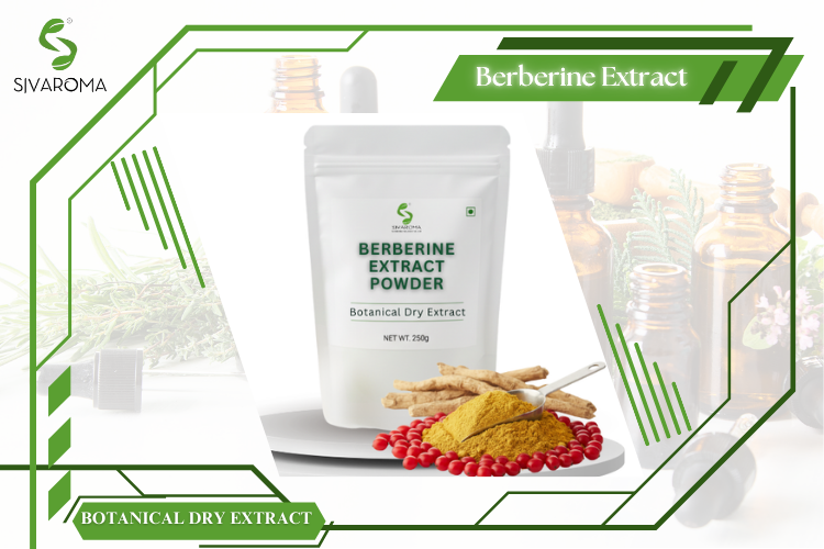 Berberine Botanical Dry Extract Product