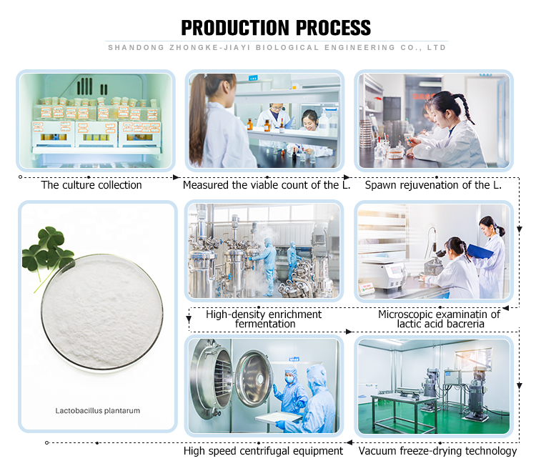 Lactobacillus Gasseri Powder Physical Characteristics