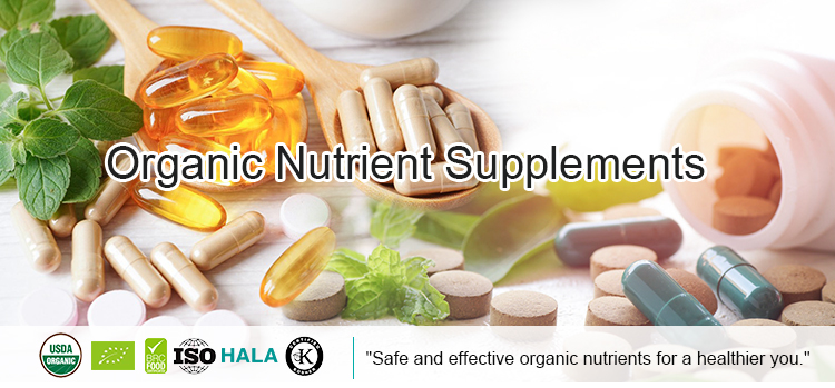Organic Moringa Tablets Leaf Extract