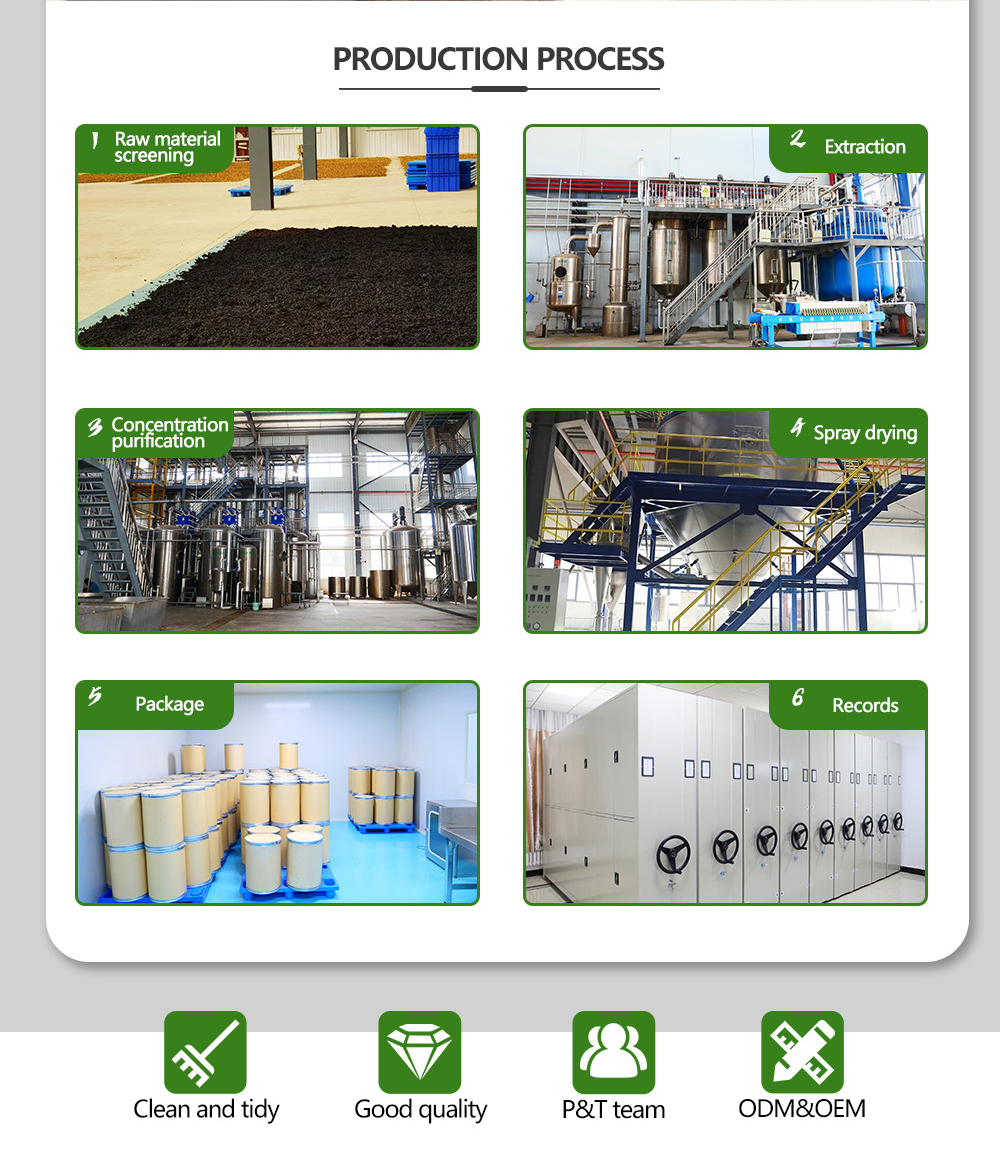 Processing Facility 3