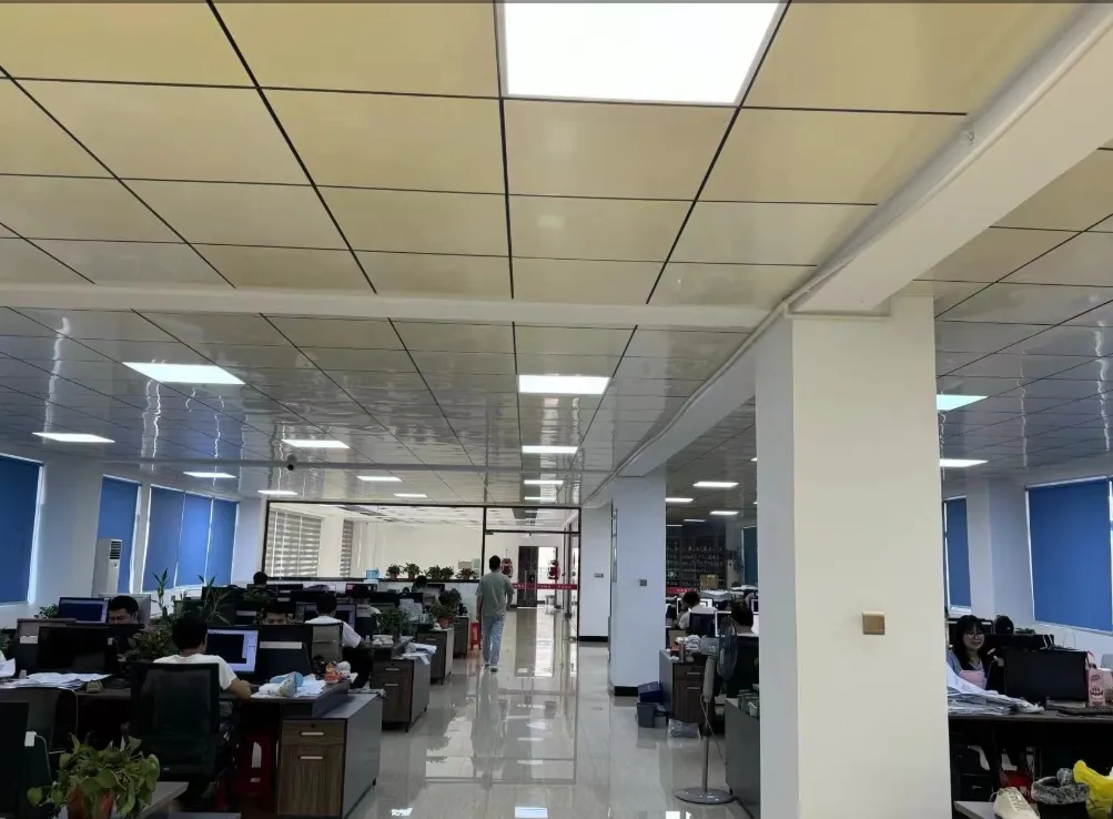 أحذية صديقة للبيئة مع نعل إيكو-إيفا وإنتاج محايد للكربون