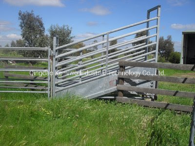 Livestock Field Equipment Mobile Adjustable Ramp System