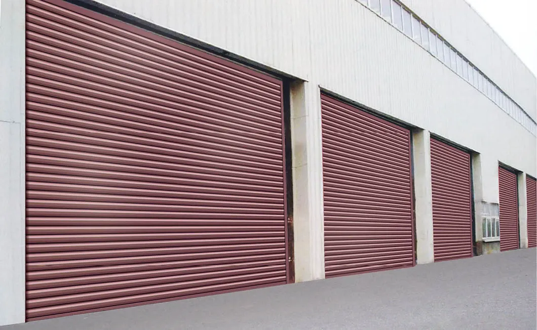 Smart Home Automatic Roller Shutter Security Door System