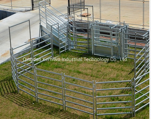 Livestock Field Equipment Mobile Adjustable Ramp System