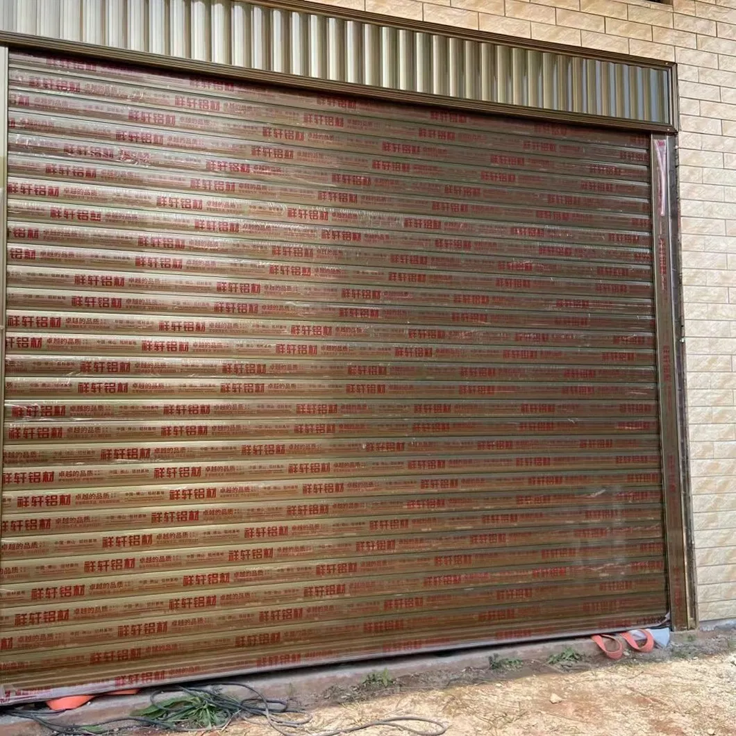 Smart Home Automatic Roller Shutter Security Door System