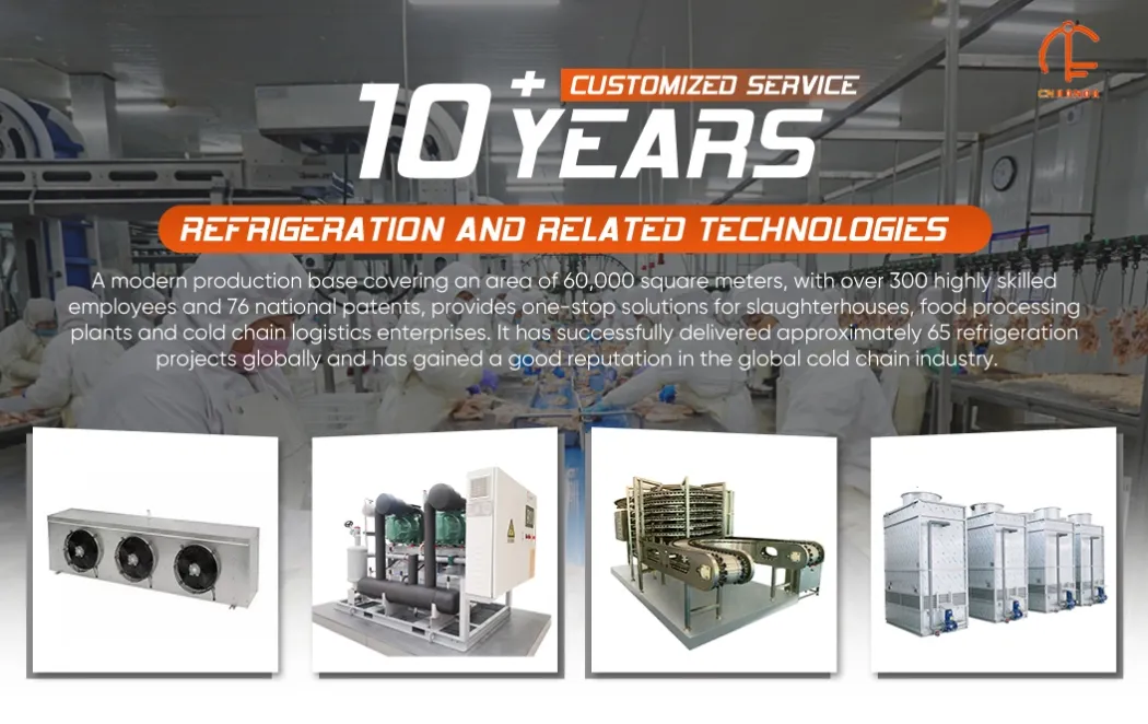 Loading Dock Leveler