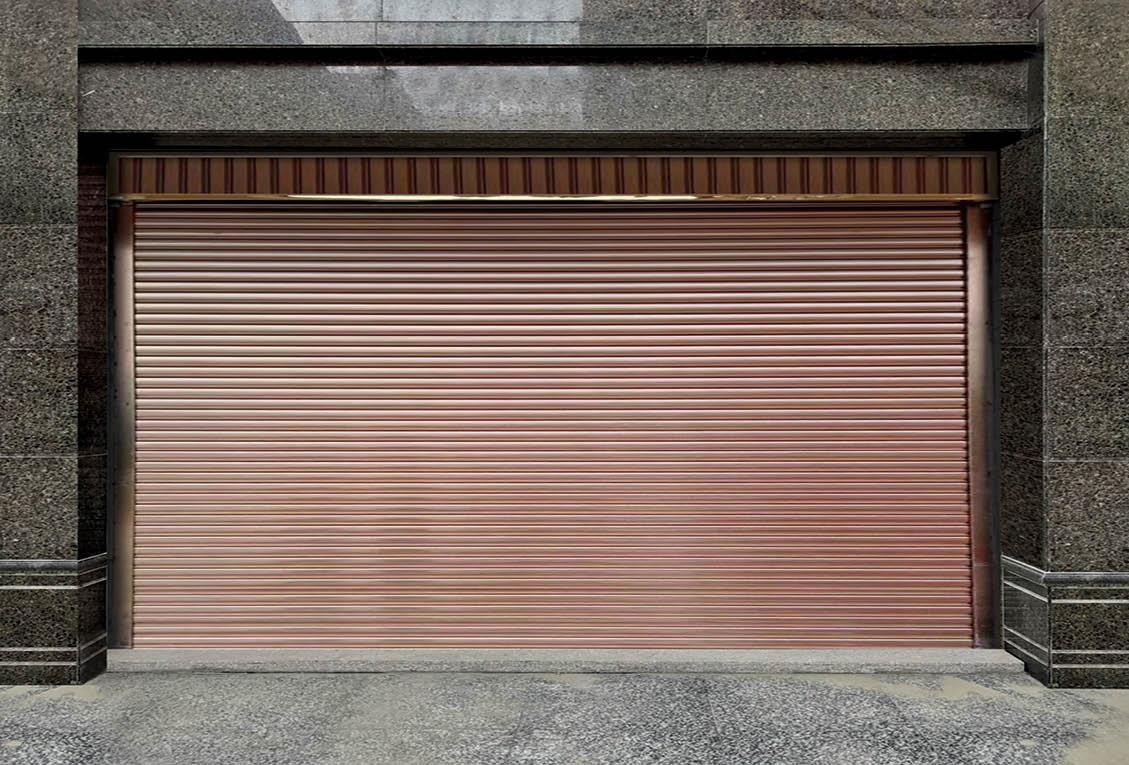 Smart Home Automatic Roller Shutter Security Door System