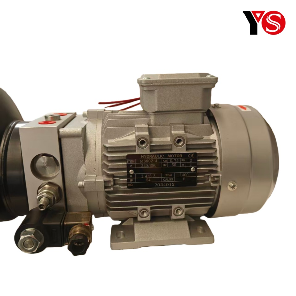 OEM Industrial AC220V/380V Hydraulic Power Unit &amp; Hydraulic Power Pack System - Heavy Duty Single-Acting Dock Leveler Hydraulic Part (SGS/CE)