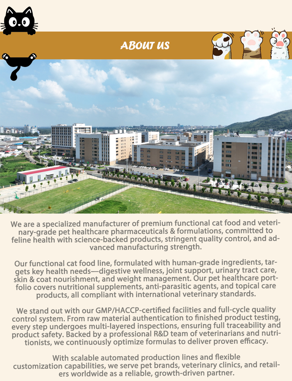 Additional product information 2