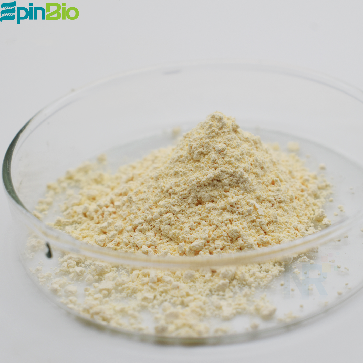 Food Grade Natamycin 95% Preservative HALAL &amp; KOSHER Certified 24 Months Shelf Life