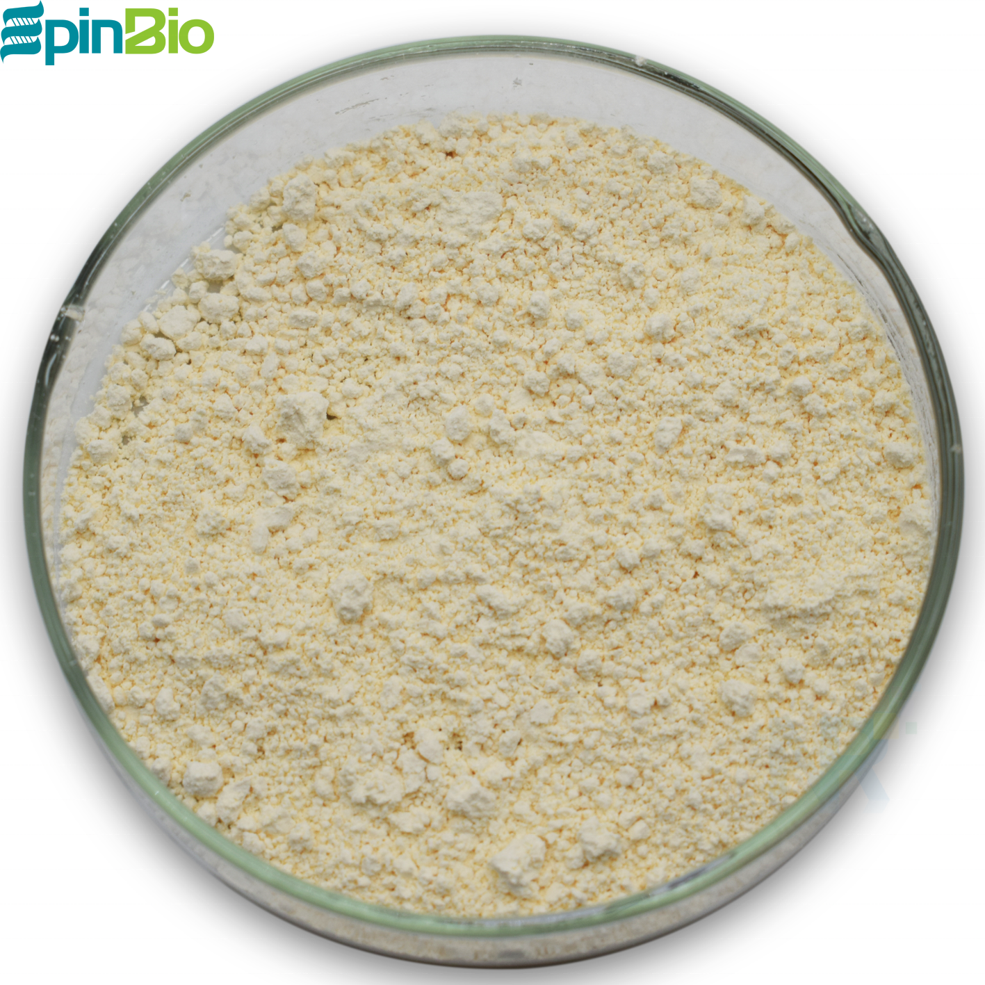 Food Grade Natamycin 95% Preservative HALAL &amp; KOSHER Certified 24 Months Shelf Life