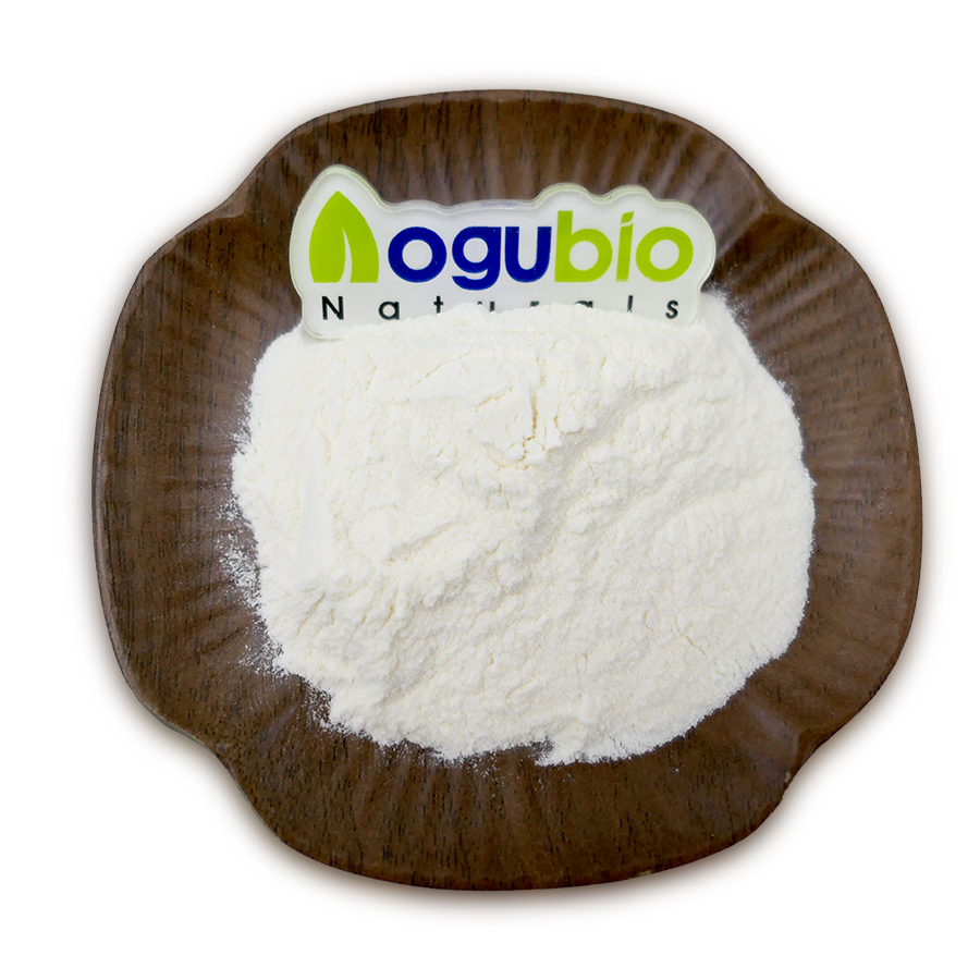 Lactobacillus Fermentum Applications