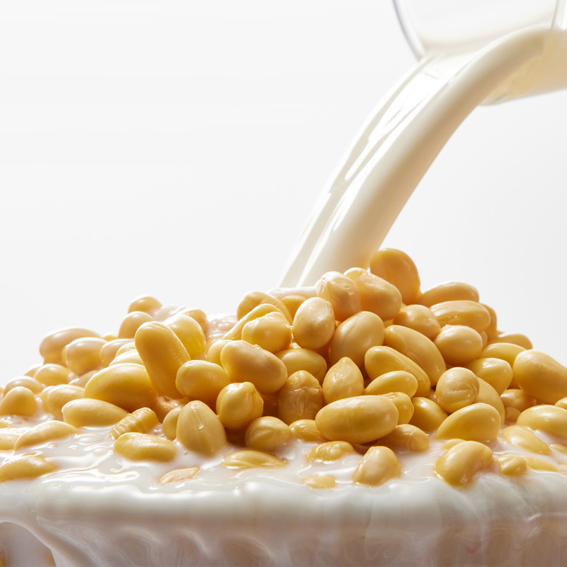 Processing of cereals and soy products