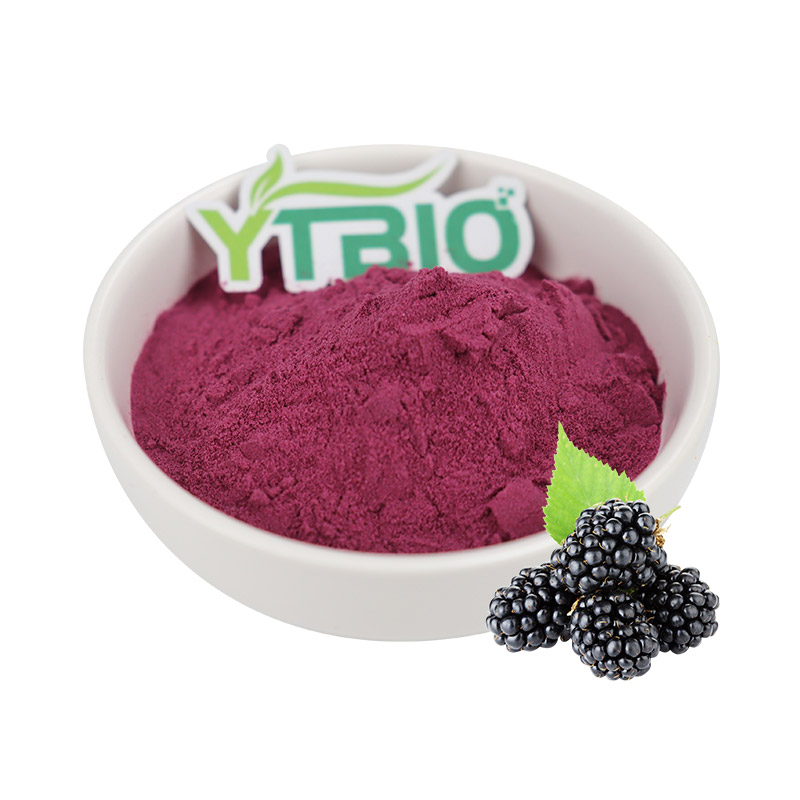 Mulberry Extract Powder for Cosmetics, Skin Care &amp; Functional Food Ingredients