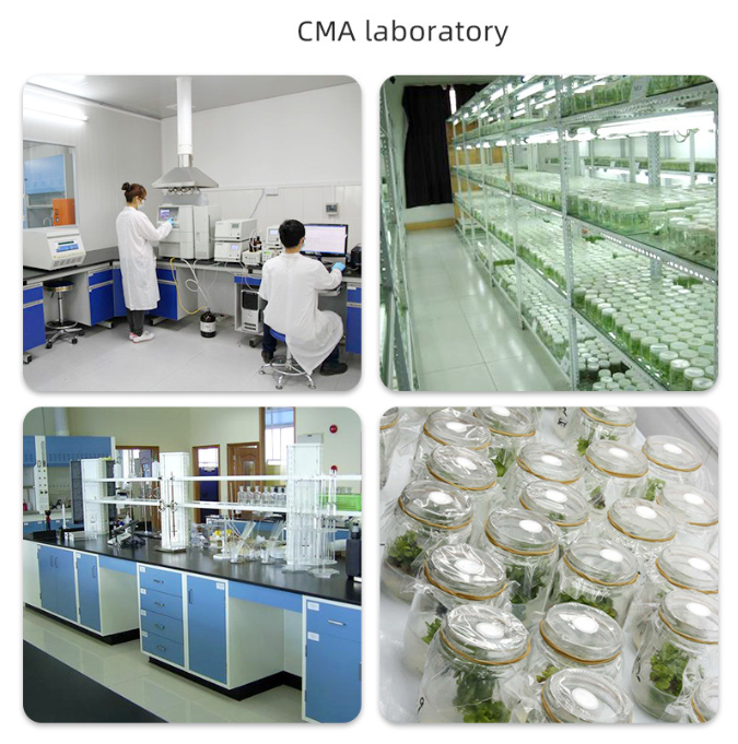 Ergothioneine CAS 497-30-3 Powerful Antioxidant Anti-aging Ingredient