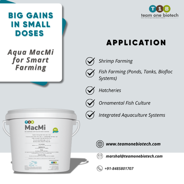 Fermentation Derived Marine Aquaculture Additive