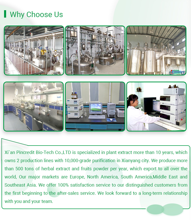 Factory Facilities View 1